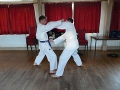 Karate Sparring
